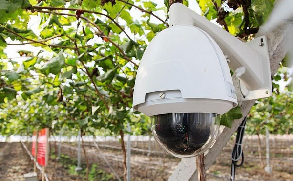 农业物联网的系统,智能农业物联网系统建设