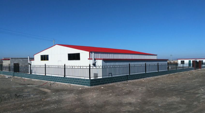 一颗枸杞改变一个村庄！跑完戈壁挑战赛，他们又跑赢了……