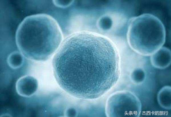 egf成分的护肤品,哪些牌子护肤品含有egf