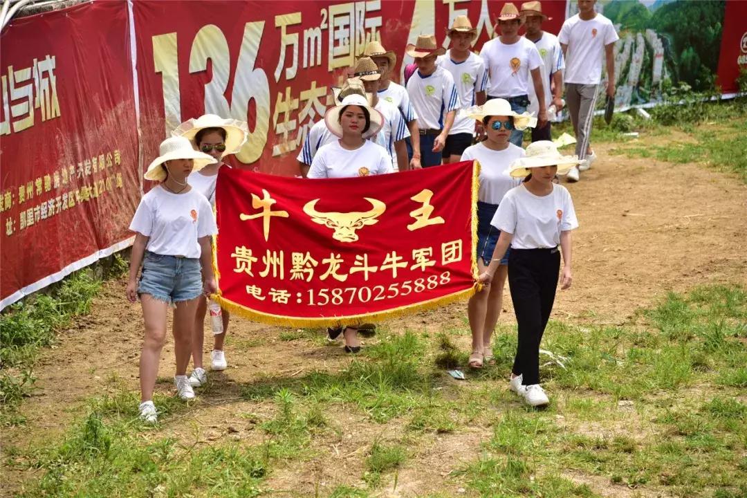 贵州凯里东方斗牛城斗牛大赛,2021年凯里斗牛大赛