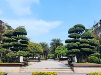 金科美好家,金科美好家四季阳光