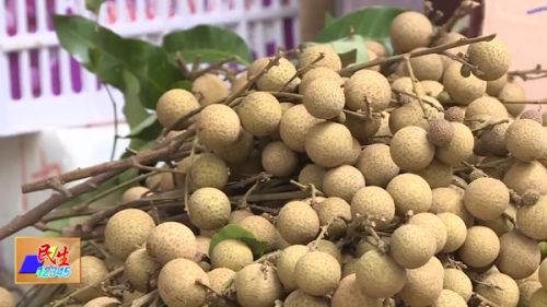 龙眼上火吗吃多了会不会上火,龙眼吃多了会上火怎么办