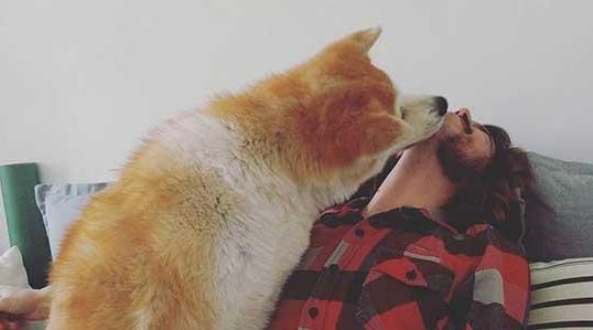 狗狗乱舔怎么治疗,狗狗乱舔东西是什么原因