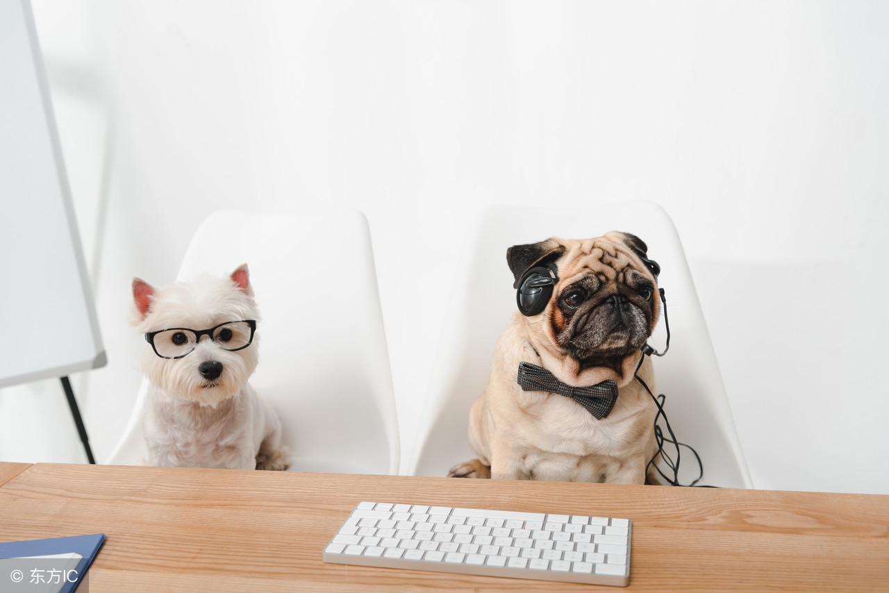 职场销售技巧与方法,职场上新人如何应对自如