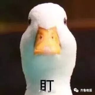 男生gucci衣服t恤多少钱一件,gucci男t恤正品