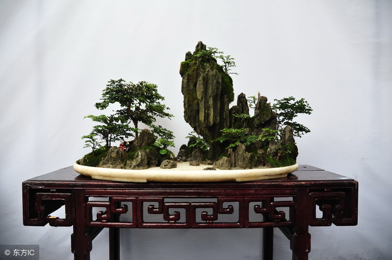 绝美优雅的盆景欣赏（太漂亮了，快分享给朋友吧！）