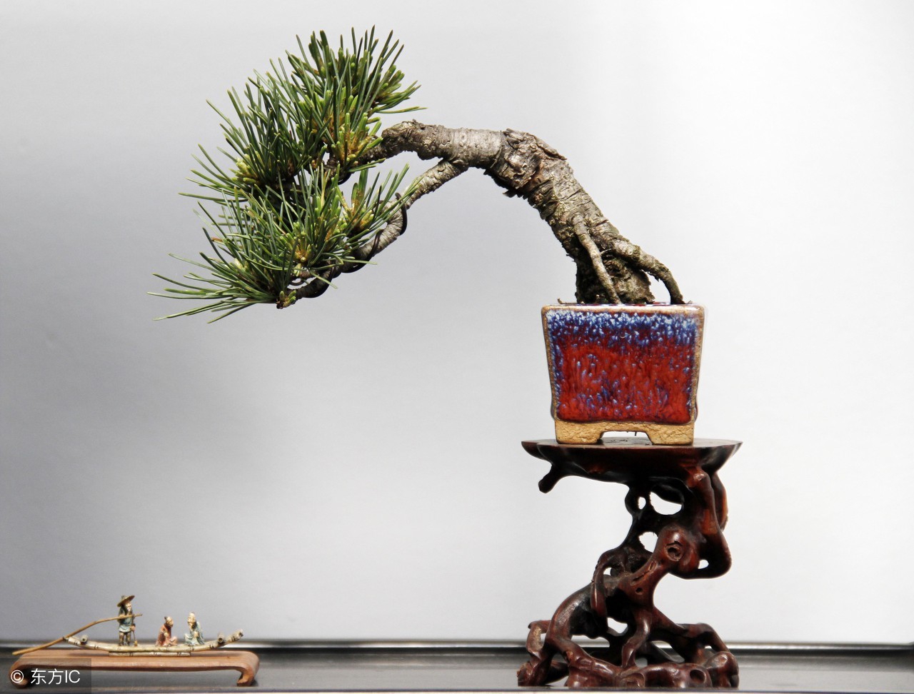 清韵优雅的盆景欣赏,盆景欣赏难得一见的绝美盆景艺术