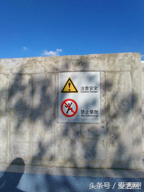 直播还在用手机？我的哒*眼镜视**会拍照