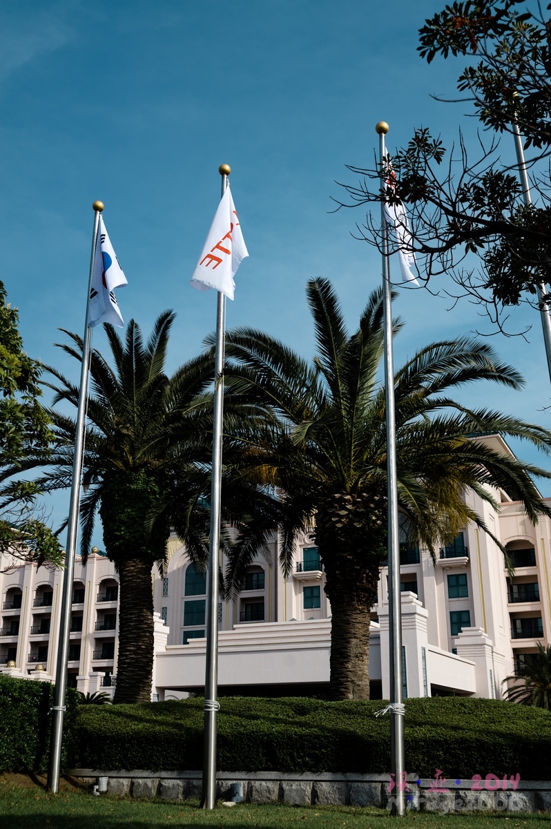 济州岛疯狂购物宝典,济州岛市区买买买攻略