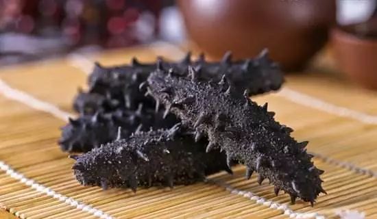 想要有滋补作用的海参要掌握三点,滋补身体用哪种海参比较好