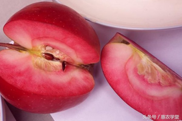 盆栽红肉苹果种植方法,红肉苹果需要授粉吗