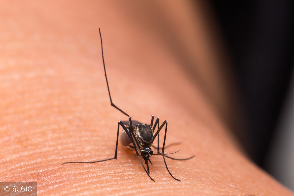 风油精孕妇可以用吗？它还有哪些不为人知的用途？