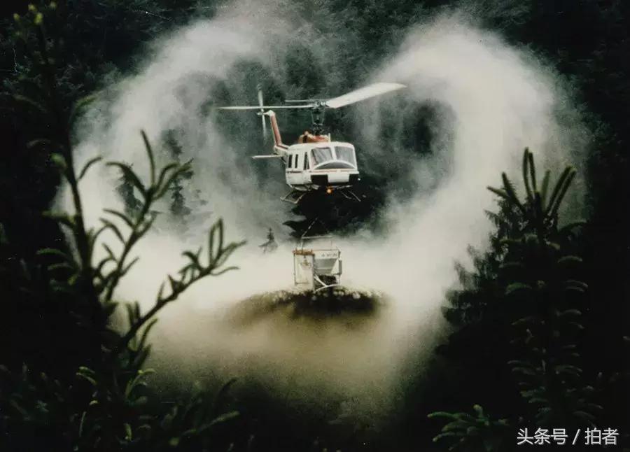 荷赛奖著名作品,荷赛历届获奖摄影照片