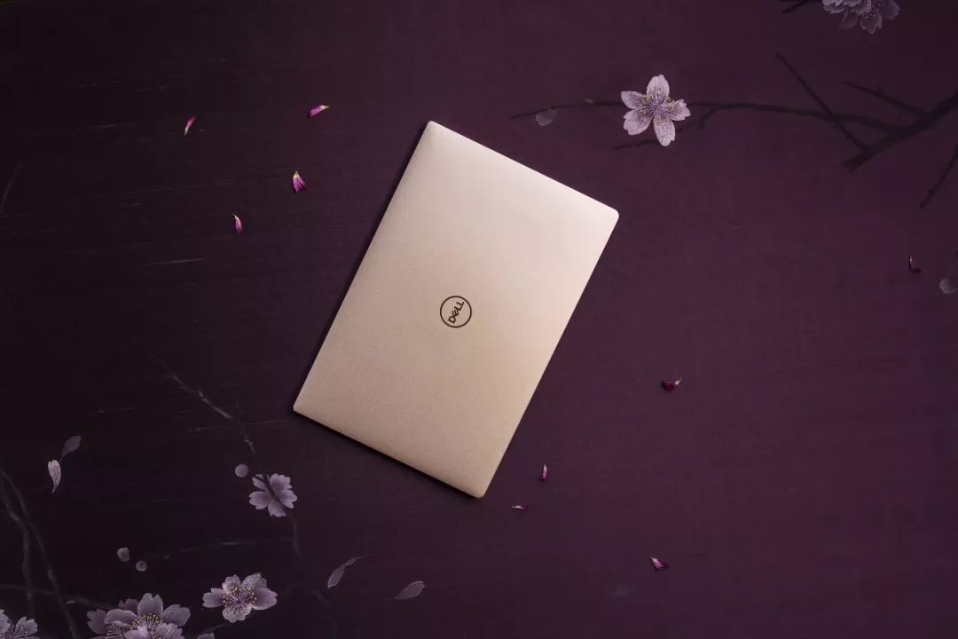 GirlPower:职场白骨精选择——XPS13