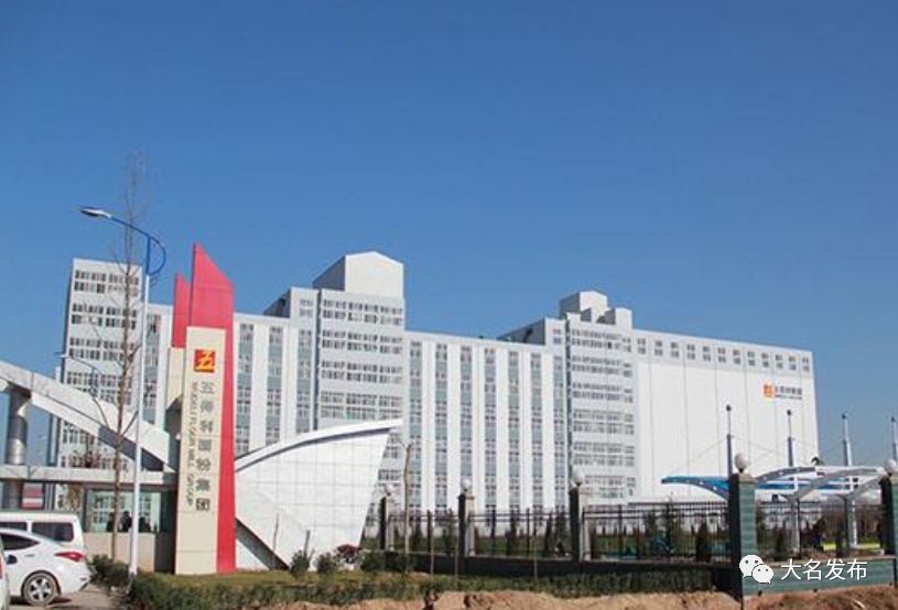 今年咱大名投资上亿的大项目、好项目，你知道几个？