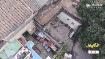 鹿哥鹿嫂最新消息,鹿哥鹿嫂离婚原因