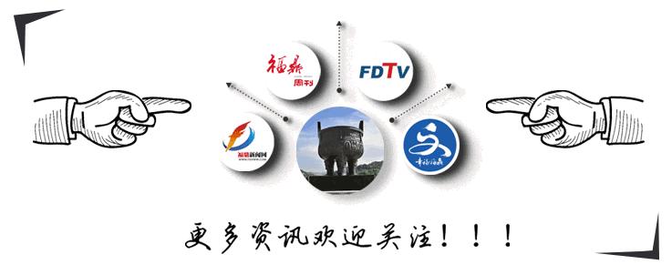 福鼎市市运会,福鼎锦标赛