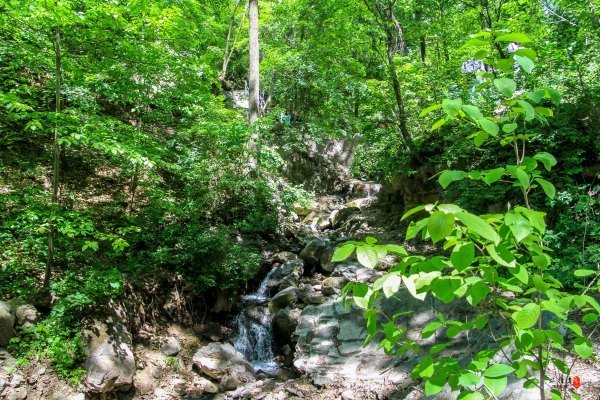 抚顺攻略,抚顺深度游攻略游记