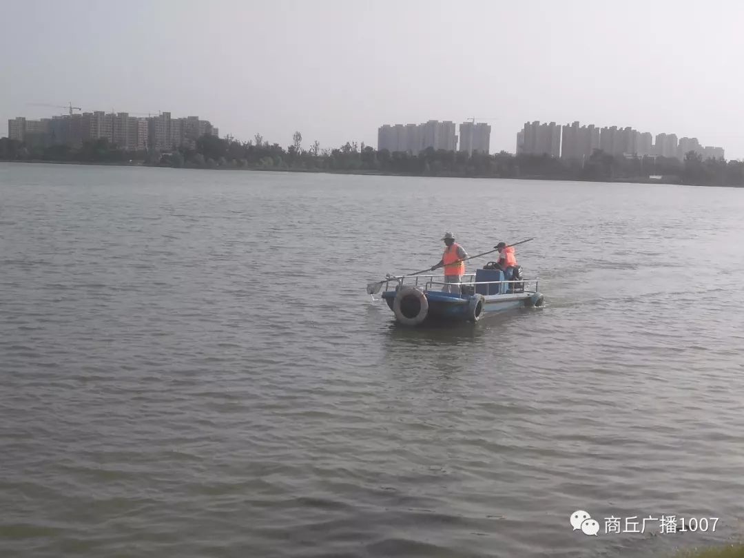 「炎夏商丘：致敬最美劳动者」烈日下、人海中、车流里……那一道金色的亮光！