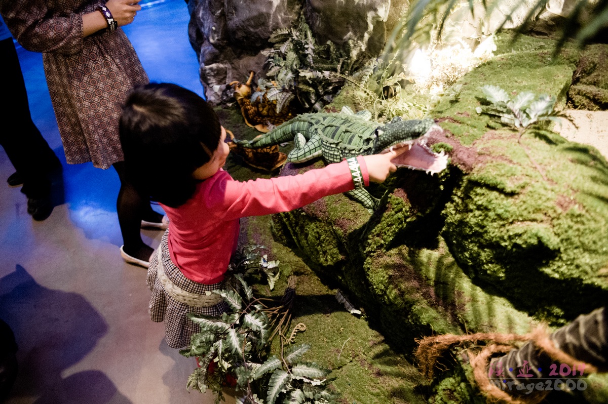 泰迪熊博物馆济州岛拍照攻略,济州岛假泰迪熊博物馆