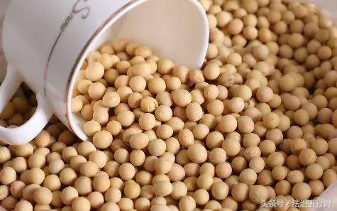 女童尸体案,无名女童尸体案