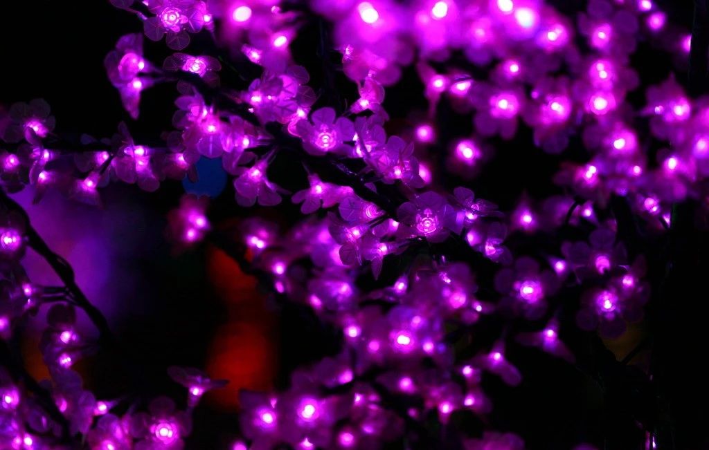 宁可错过世界杯也不要错过云南的火把节！