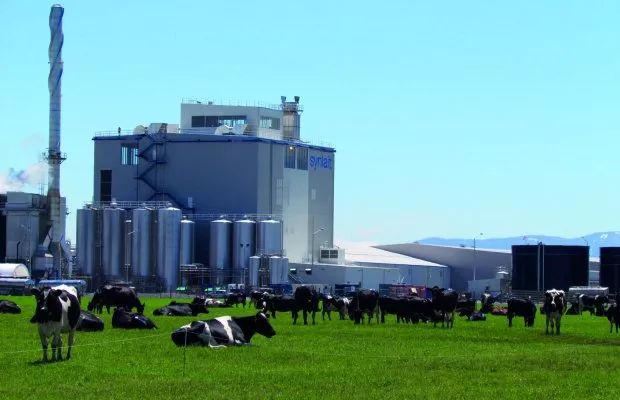 新西兰奶粉问题曝光,新西兰奶粉哪种品牌出问题