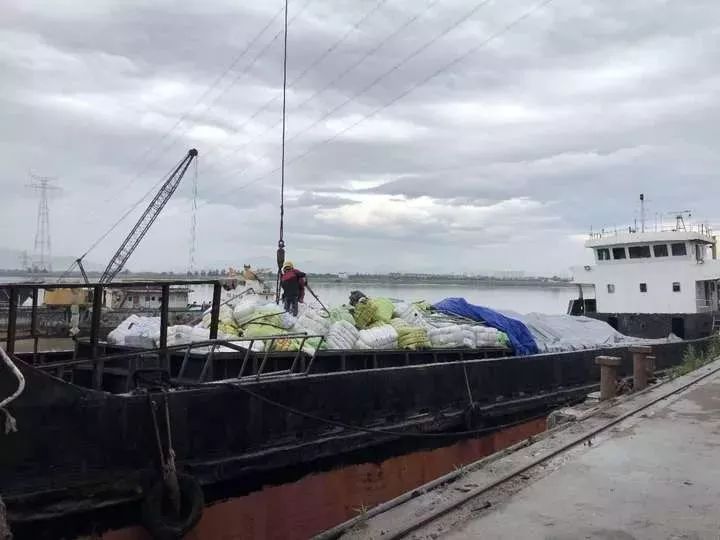 恶心!常州人,你淘来的名牌货,可能暗藏各种细菌!