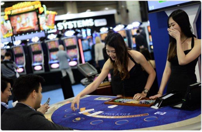 出入澳门人生浮沉全文在线阅读,出入澳门人生浮沉全集下载