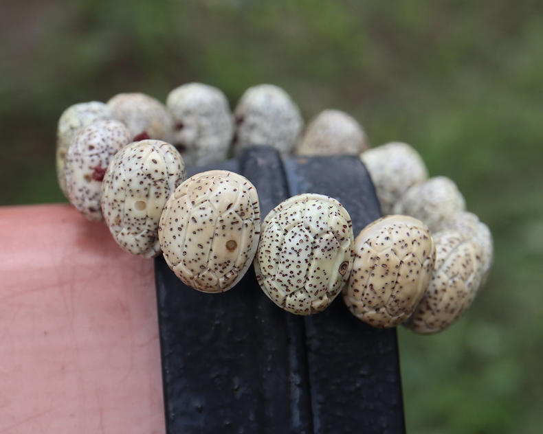 星月菩提的盘玩方法速成,新入手的星月菩提正确的盘玩步骤