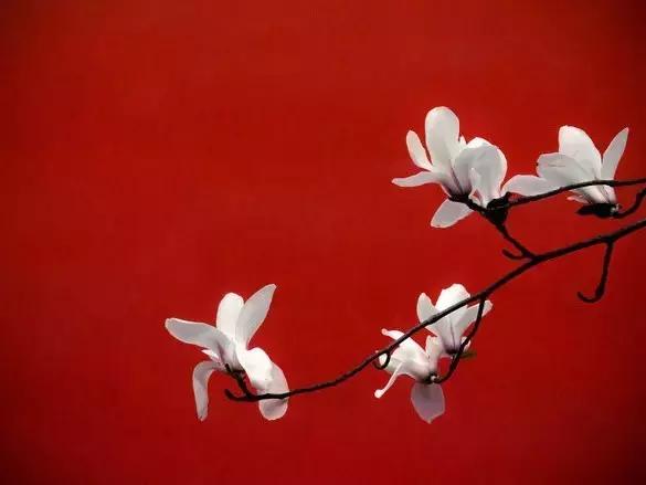 中国红大气豪迈热情洒脱,中国红霸气文案