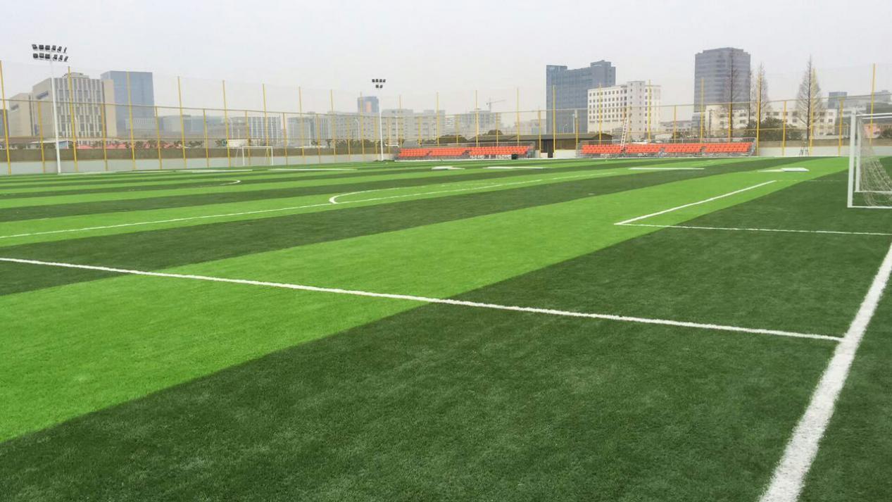 足球场灯具布置,足球场照明特殊之处