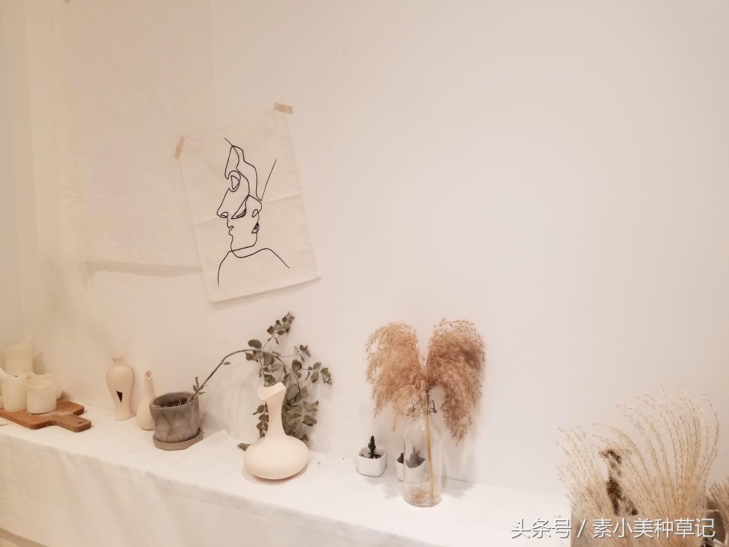 种草记|在仙人掌的阴影下也有华氏度