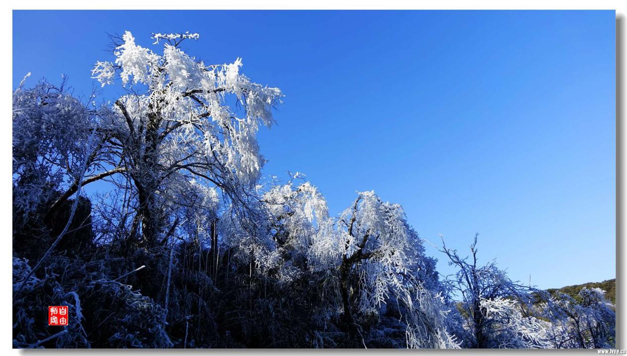重庆周边三日游最佳攻略最新,重庆周边一日游的绝佳去处春游