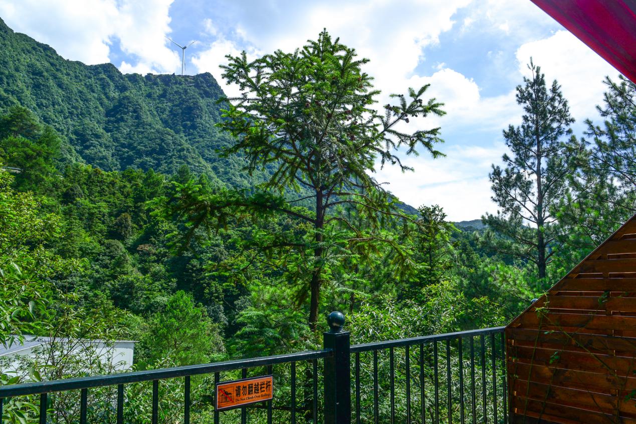 重庆周边三日游最佳攻略最新,重庆周边一日游的绝佳去处春游