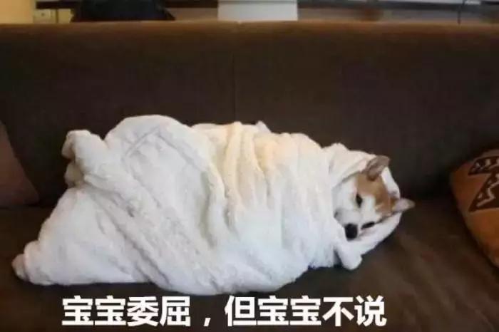 卸下伪装从此做回真正的自己,卸下伪装做更真实的自己