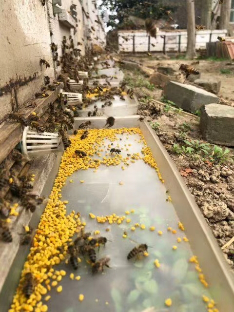 如何使用脱粉器,怎样使用脱粉器