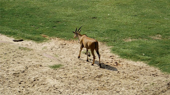 带小孩去长隆欢乐世界畅玩一天,暑假带娃去广州长隆野生动物世界