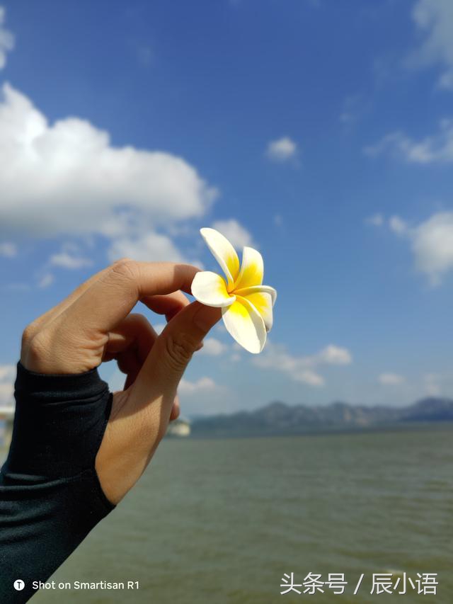 王自如r1zealer,王自如对锤子坚果r1的评价