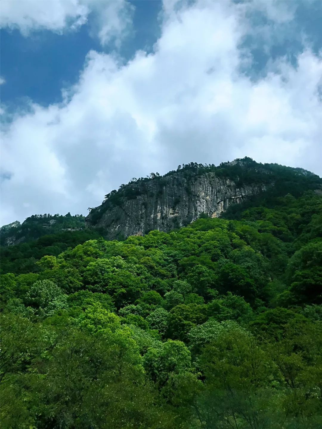 去太白山是干什么的,去太白山除了泡温泉还能干嘛