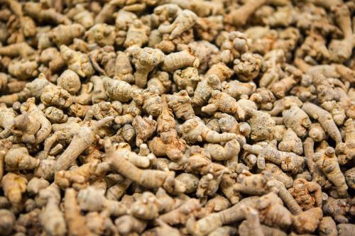 《中药学》简化笔记6——止血药、活血祛瘀药