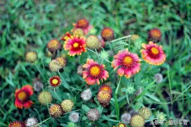 免签证海岛游,不需要签证的4个小时的海岛