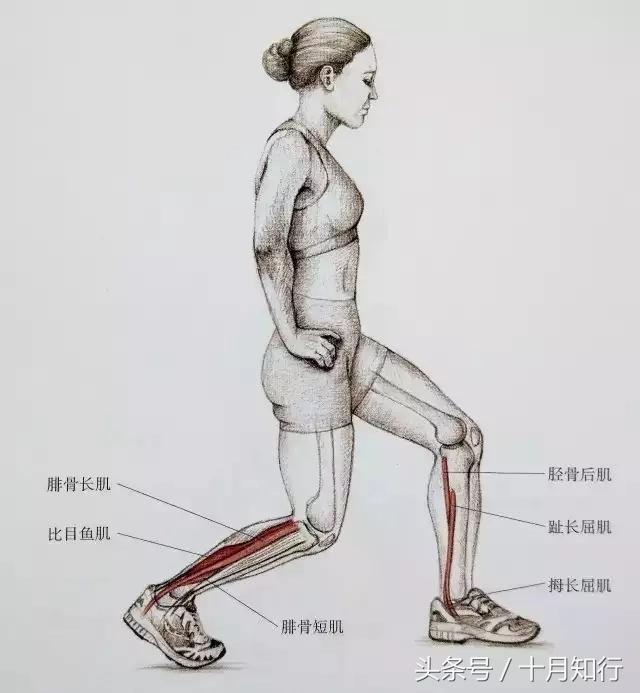 全套小腿拉伸动作视频,拉伸小腿正确方法让腿变细