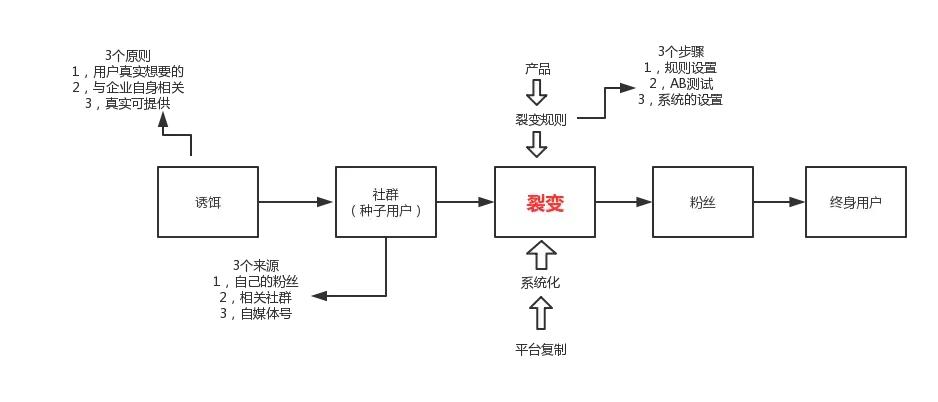 社群营销裂变的原因,社群裂变如何打造营销团队