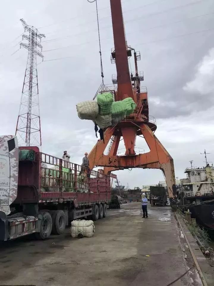 恶心！数百吨韩国人扔掉的旧衣服在浙江被截！你淘来的名牌货，可能来自太平间……