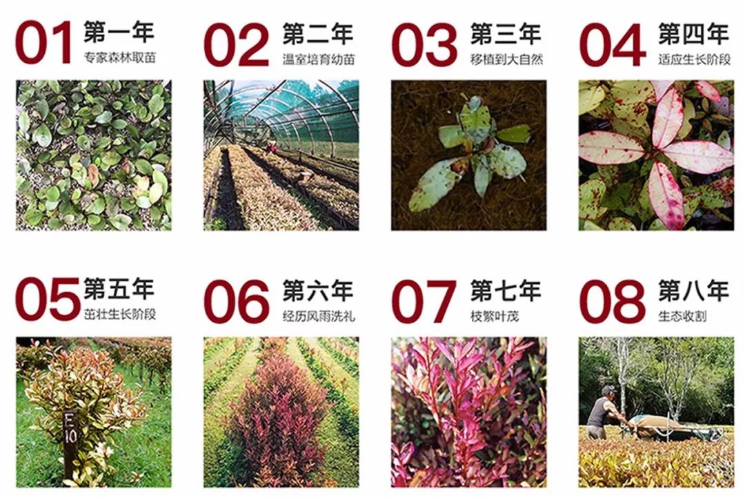 脚气清脚气专用乳膏,比较管用的脚气膏