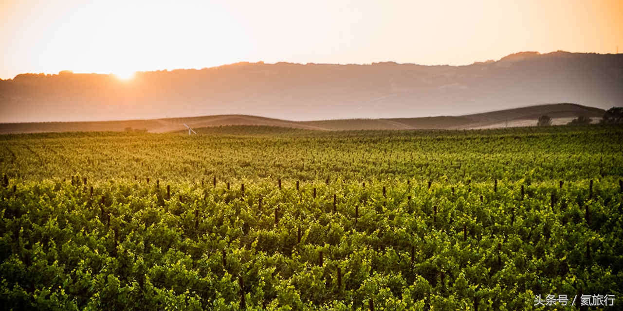 畅游加州：12个酒乡目的地，爱酒的你一定可以找到最适合你的酒乡