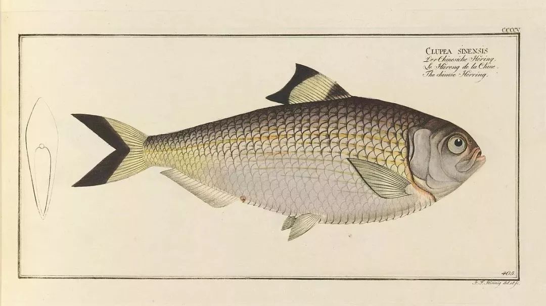 如果没有西门庆潘金莲还会消停吗,如果没有西门庆王婆会怎么样