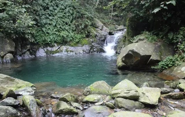 下一站溆浦南站,下一站怀化南站