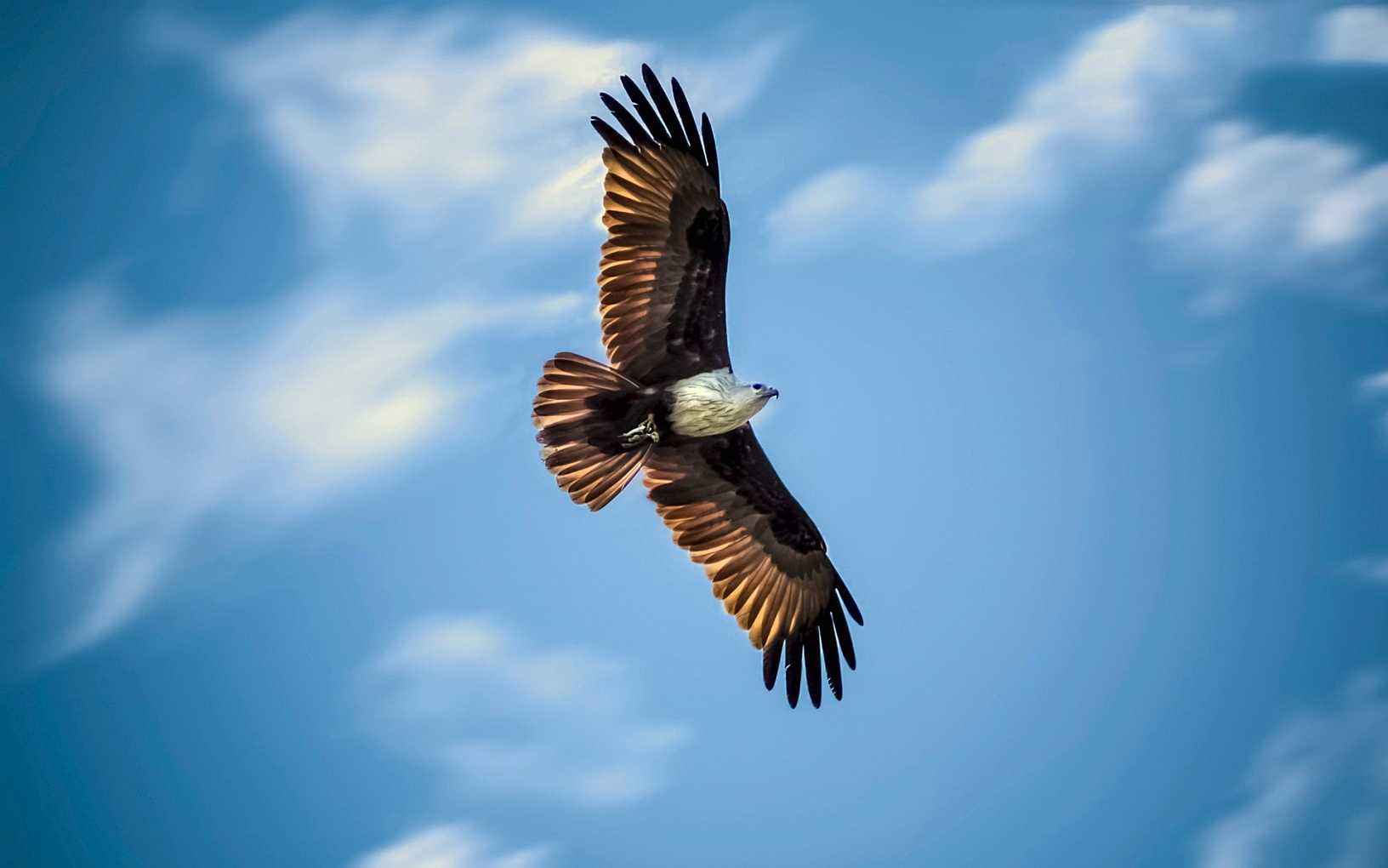 高考励志对联大全带横批9字,关于新年高考励志对联大全